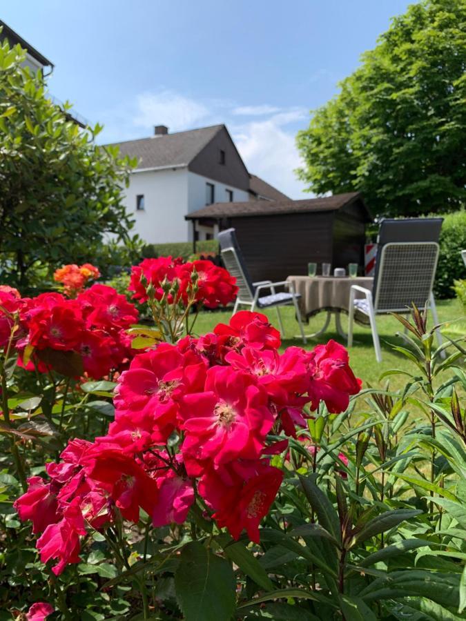 Tinytimeout Westerwald Ellar Kültér fotó